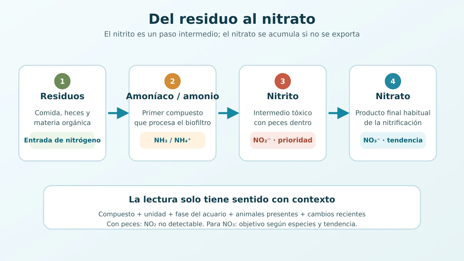 Esquema de residuos, amoníaco o amonio, nitrito y nitrato en el ciclo del nitrógeno del acuario