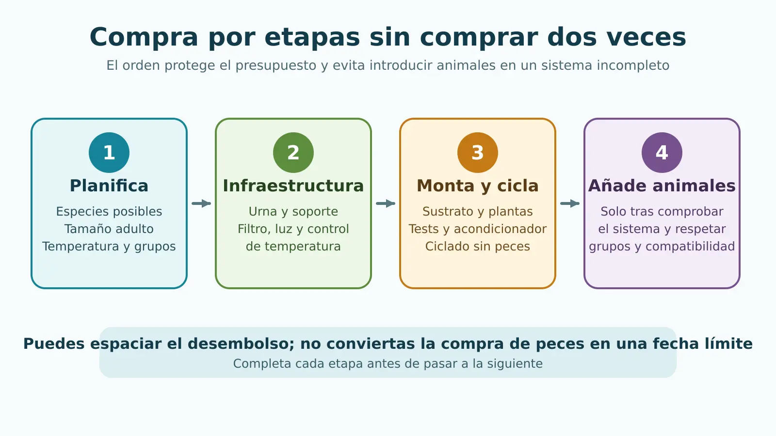 Secuencia de compra en cuatro etapas: planificar, adquirir infraestructura, montar y ciclar, e introducir animales