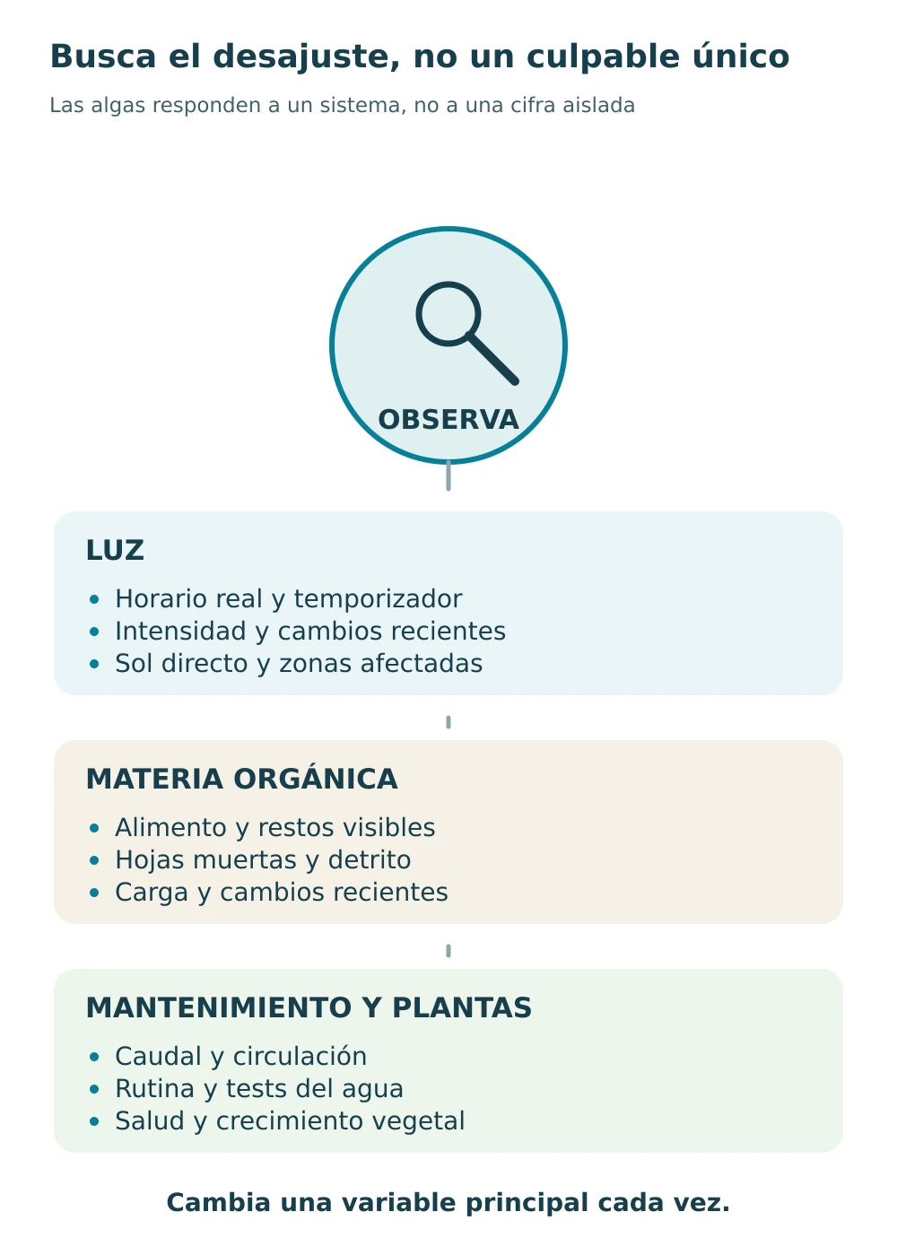 Esquema de revisión de luz, materia orgánica, mantenimiento y plantas ante un problema de algas