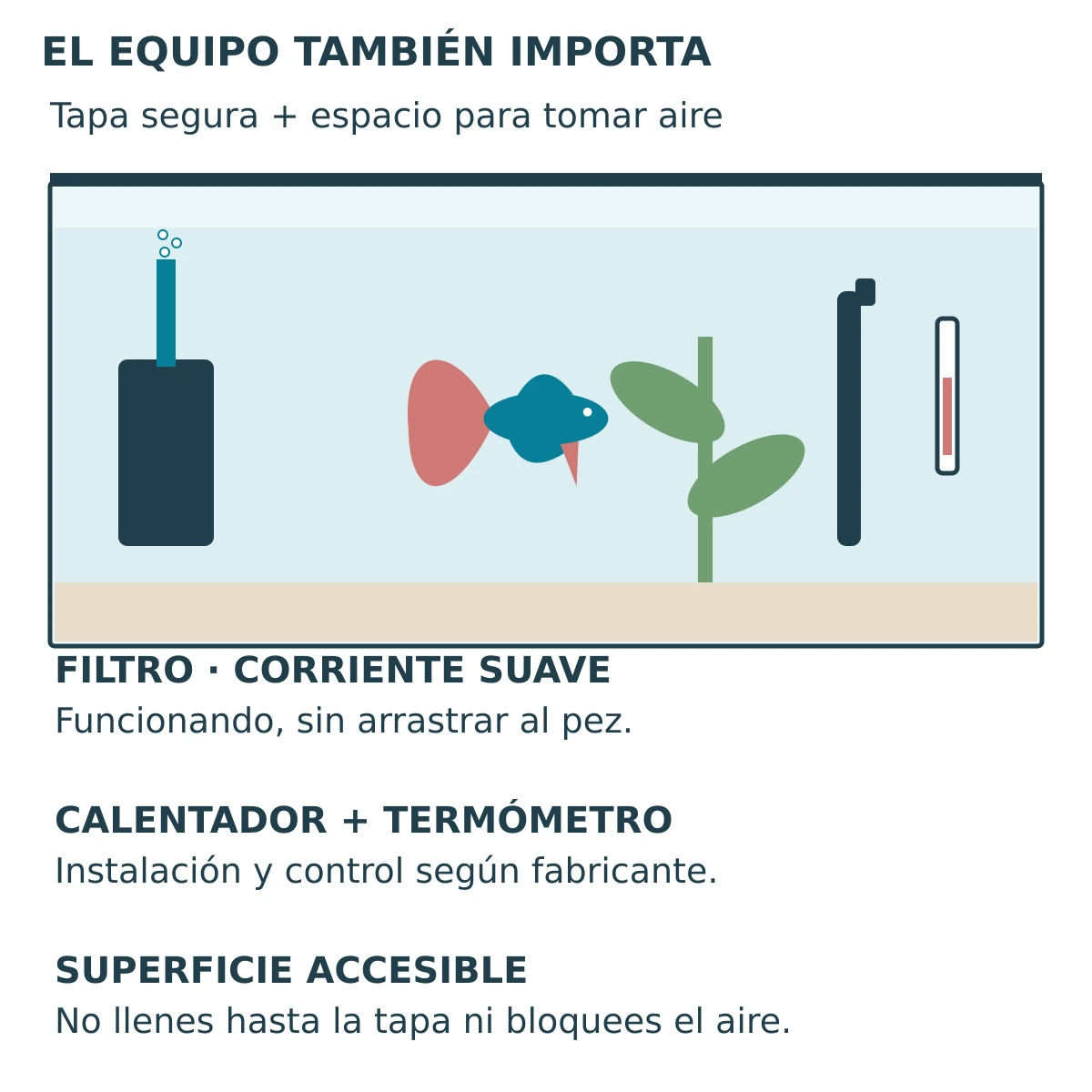 Esquema de un acuario con tapa, cámara de aire, filtro, calentador sumergido y termómetro.