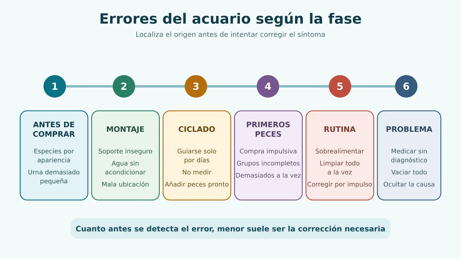 Línea temporal de errores frecuentes antes de comprar, durante el montaje, ciclado, introducción, rutina y resolución de problemas
