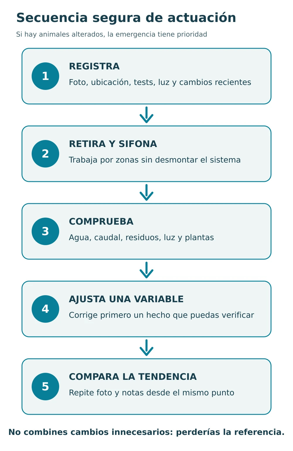 Secuencia de cinco pasos para registrar, retirar, comprobar, ajustar y comparar un problema de algas
