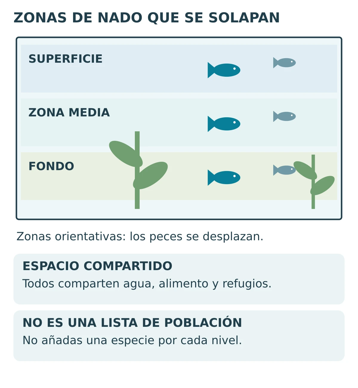Esquema de un acuario con superficie, zona media, fondo, refugios laterales y espacio de nado.