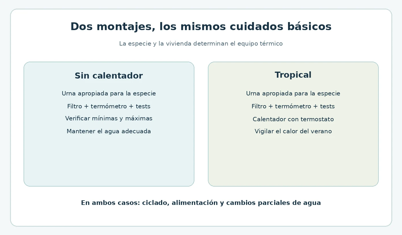 Comparación de equipos básicos en acuarios sin calentador y tropicales.