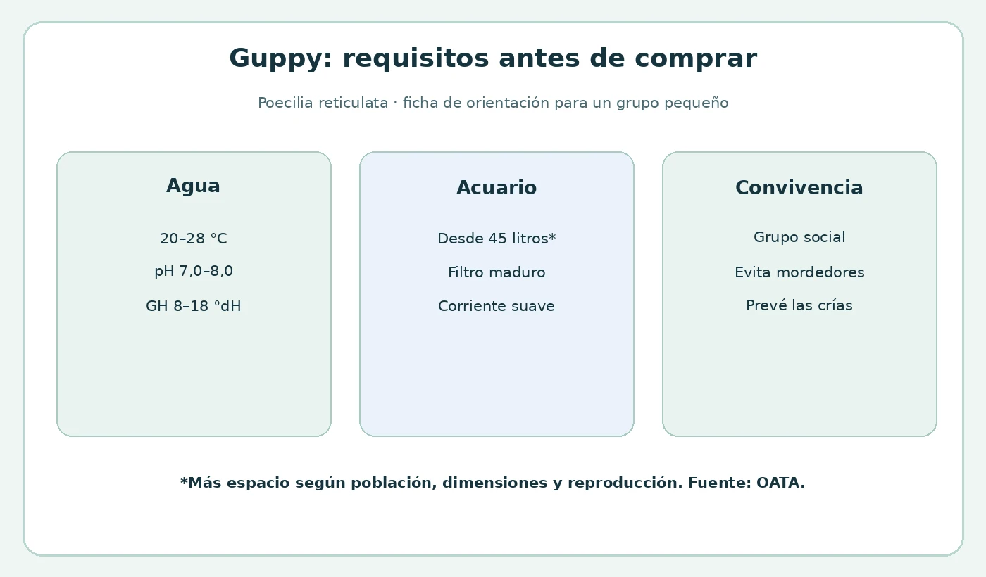 Ficha visual con temperatura, pH, dureza, volumen de referencia y convivencia del guppy.