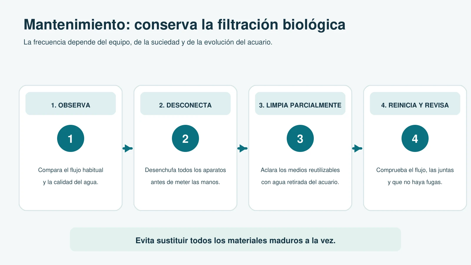 Secuencia de mantenimiento seguro del filtro: observar, desconectar, limpiar parcialmente y revisar el funcionamiento