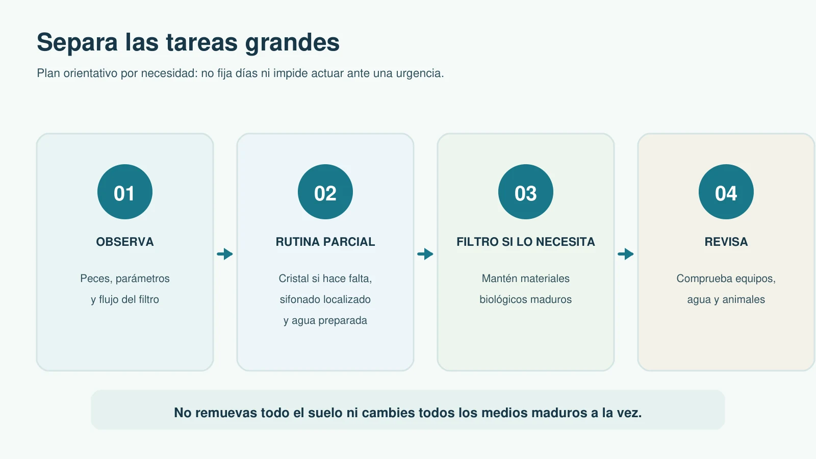 Secuencia flexible que separa observación, limpieza parcial, atención al filtro solo cuando hace falta y revisión posterior | Separa las intervenciones grandes según la necesidad; una urgencia se atiende sin esperar.