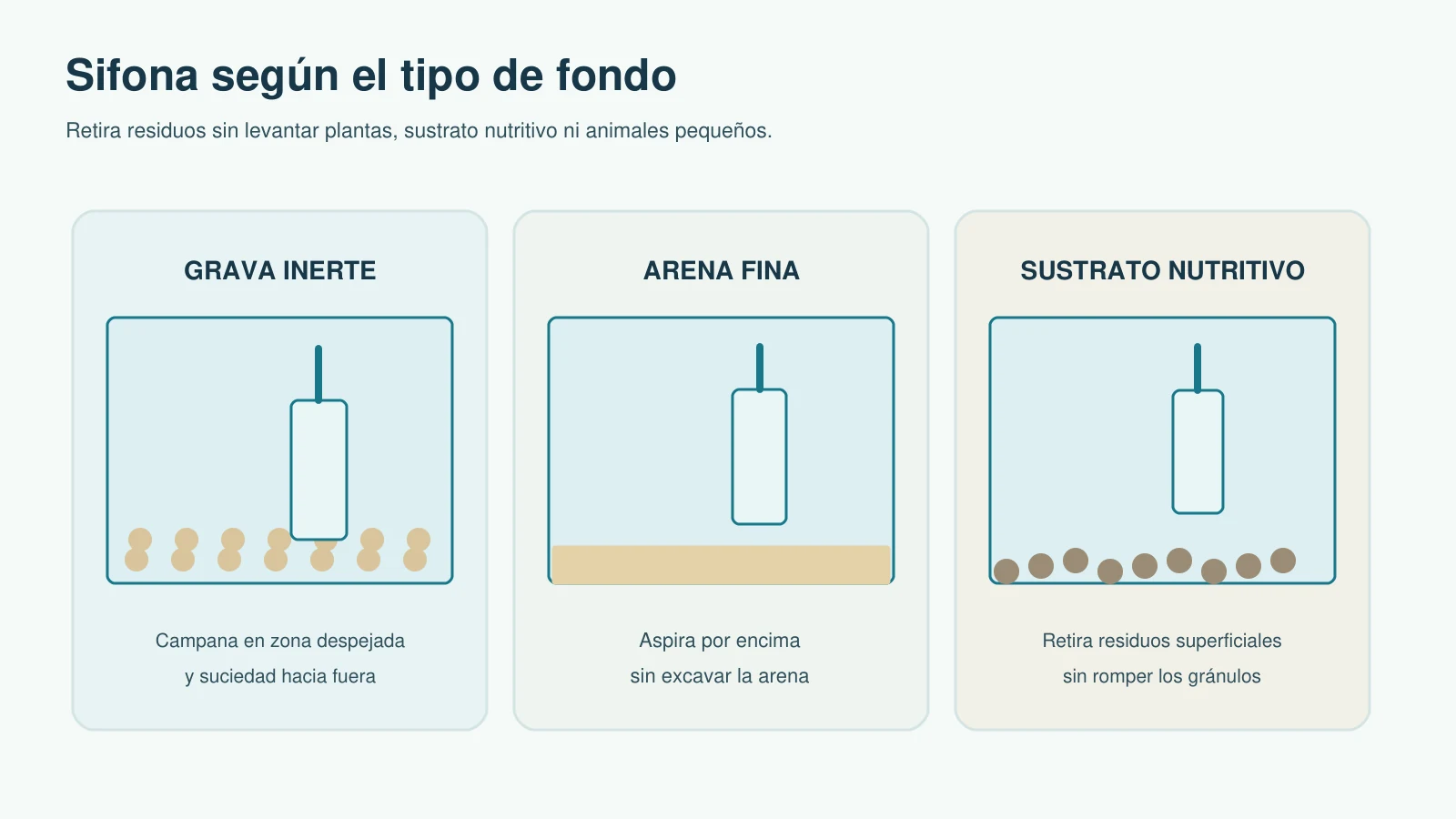 Comparación visual de sifonado en grava inerte, arena fina y sustrato nutritivo sin remover este último | La campana trabaja de forma distinta sobre grava, arena y sustrato nutritivo.