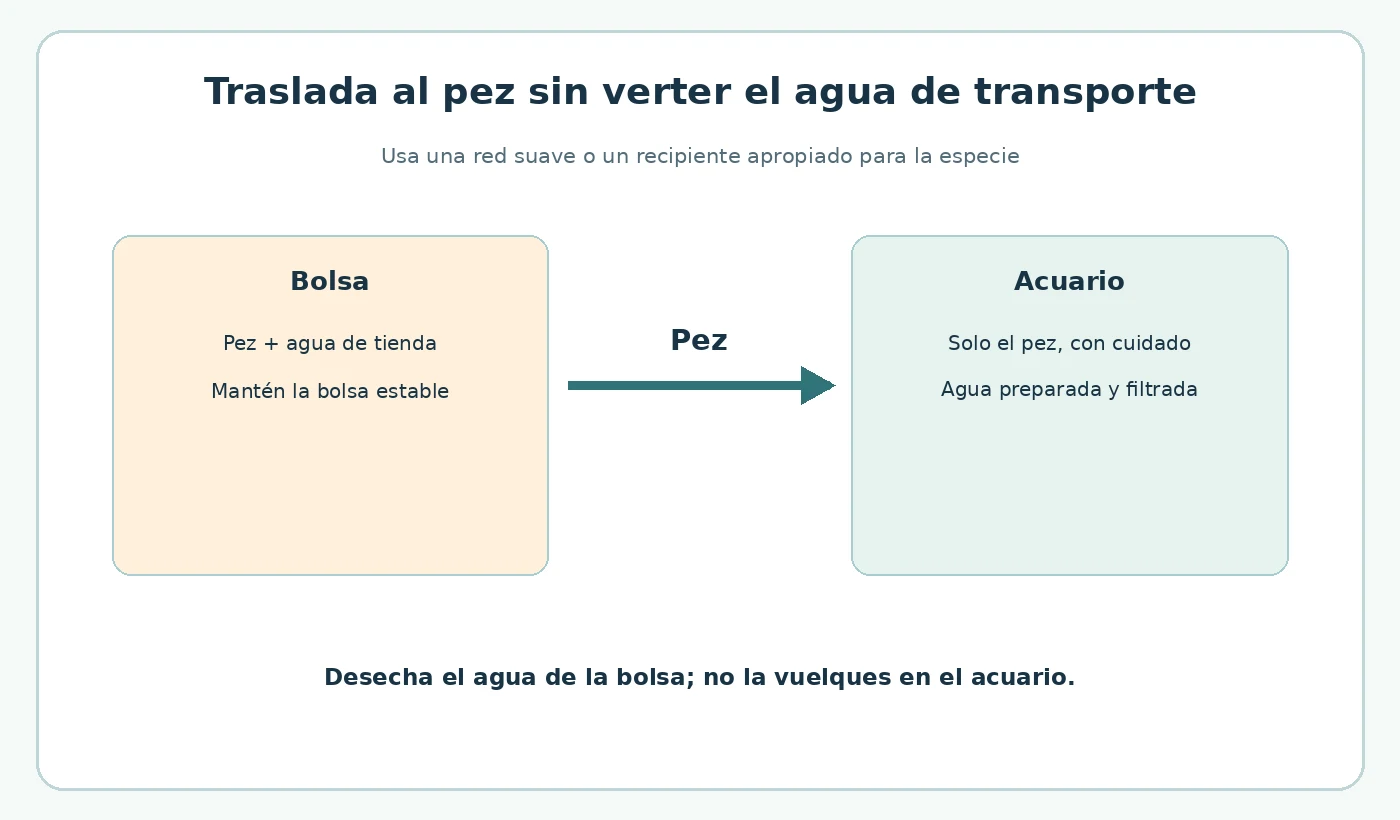 Diagrama de traslado del pez desde la bolsa hacia el acuario sin verter el agua de transporte.